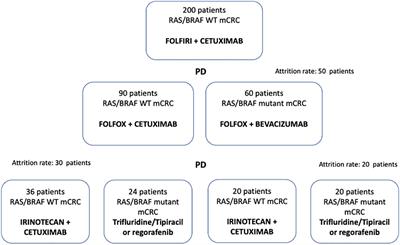 Frontiers | Efficacy And Safety Of A Biomarker-driven Cetuximab-based ...